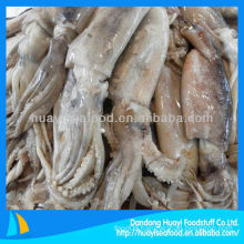 frozen squid whole round cleaned